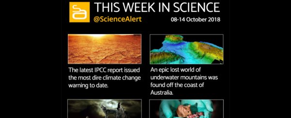 Infographic: The most talked about science stories this week