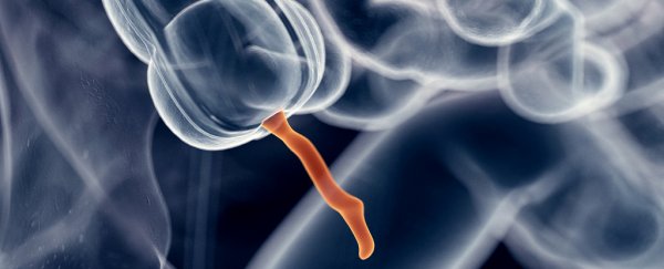 Your appendix might have a "use" after all, as the starting place of Parkinson's disease