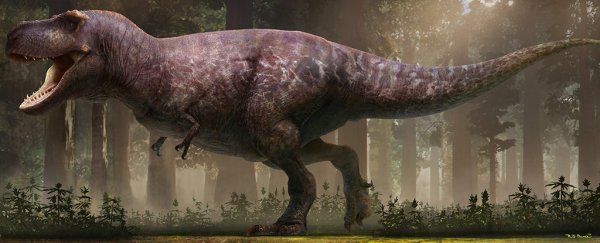 Chubby and naked: meet the most accurate T. rex reconstruction to date