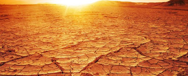 Major climate report just issued a dire warning, but everyone's going to ignore it anyway