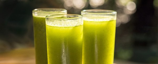 The truth about Americans trusting alternative cancer treatments is devastating