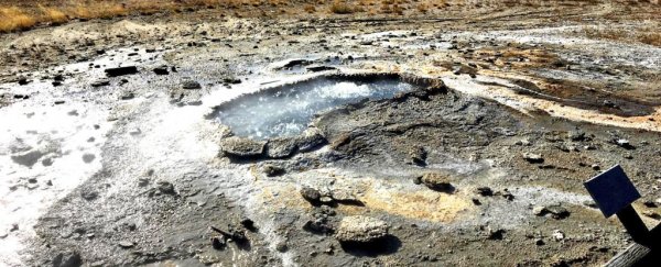 A Yellowstone geyser just erupted, and just look at all the trash that exploded in the air