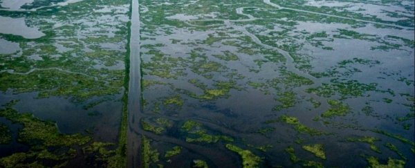 This hidden oil spill has been going for 14 years, and is about to overtake the BP disaster