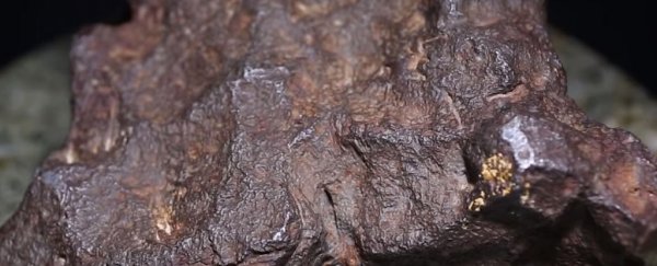 For decades, this rock was used as a doorstop. Turns out it's a $100K meteorite