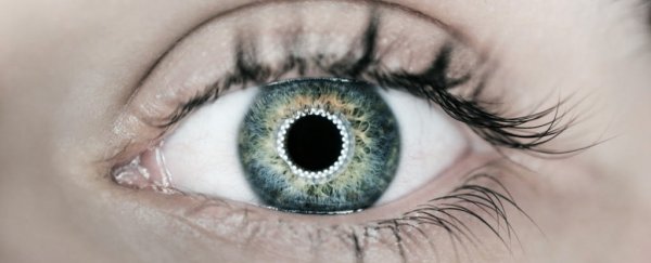 MIT has developed an unnerving game that lets you control a real human being