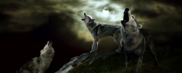 You'll never guess what scientists want to call the moon of a moon