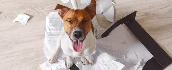 A massive hoax involving 20 fake culture studies papers just exploded in academia