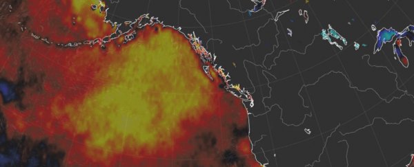 The massive anomaly 'blob' in the Pacific is back and might bring even more strange weather