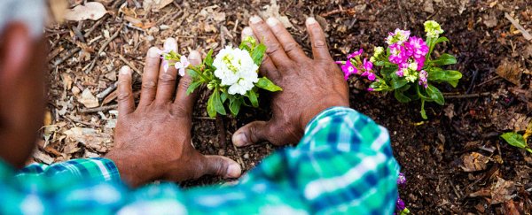 Feeling overwhelmed by the news? Here are some easy things you can do right now to help the planet
