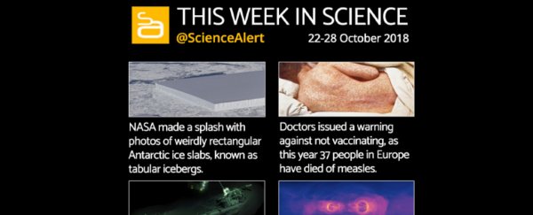 Infographic: the most exciting science news this week