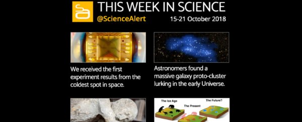 Infographic: The science news you need to know this week