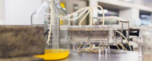 Scientists have finally engineered more sustainable bricks out of... human urine