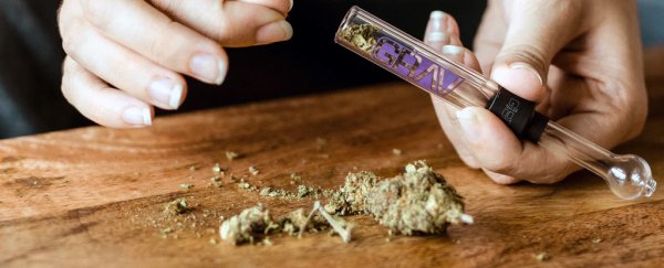 Here's why Canada's legalisation of weed is also a huge win for scientists