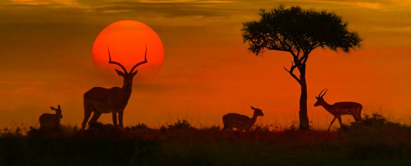 We've lost 60% of vertebrate wildlife on Earth in just the last 40 years, says report