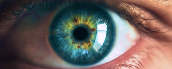 Infectious, deadly prions could be spreading via people's eyes, scientists warn