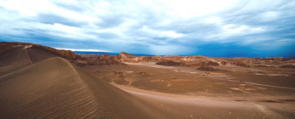 When it rains in the driest desert on Earth, it literally brings death, not life