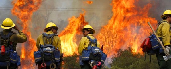 Stunning data reveal how wildfires in California and the US are becoming more devastating