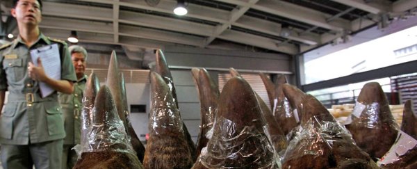 China has changed its mind on legalising tiger and rhino part trade after international outcry