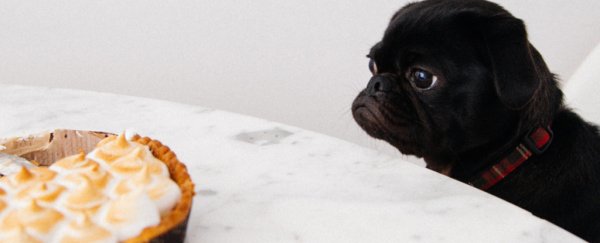 Here are the best science hacks for the ultimate Thanksgiving meal