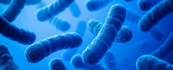 A lot more people are already dying from superbugs than you realize