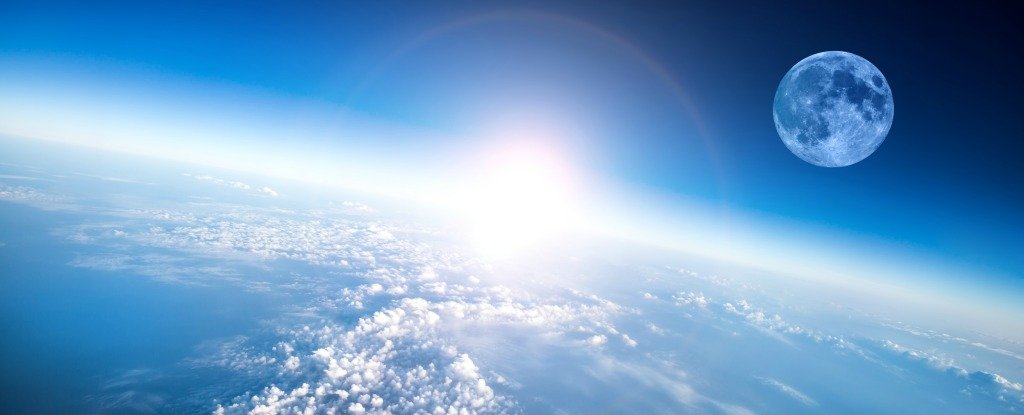 www.sciencealert.com