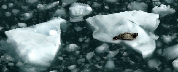 It looks like a weird feature of the Arctic atmosphere is making climate change worse