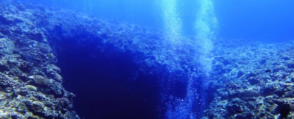 Earth is sucking down way more water than we thought, and no one's sure where it's going