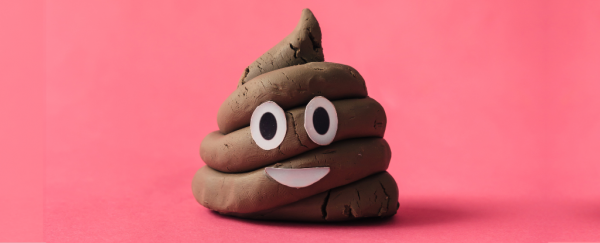 A lot of your poop is actually alive. Here's what's in it