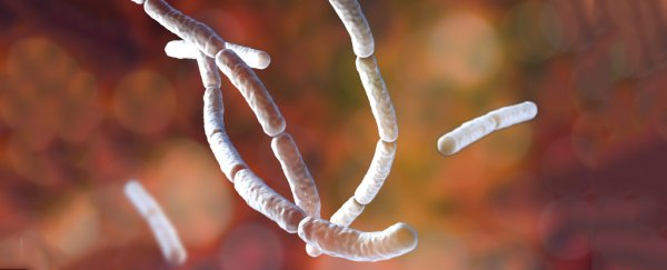 Should you really take probiotics if you're on antibiotics? The answer may surprise you.