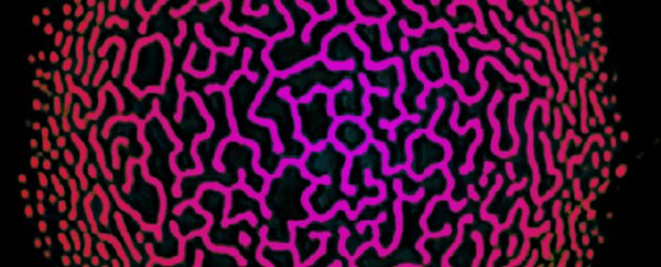 A trippy effect from the 1980s could finally help scientists understand the mysteries of human consciousness