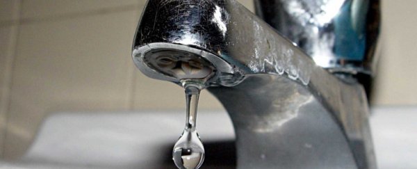 Here are the most common ways you're wasting water that cost you more than you think