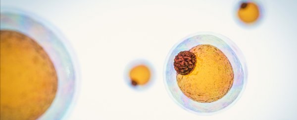 The human body has a strange type of fat that can actually help weight loss