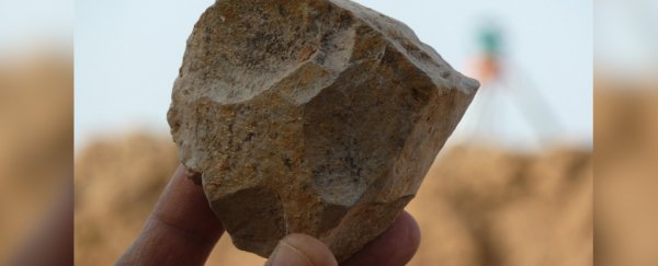 Stone tools from North Africa may have just shifted the human origin story... again