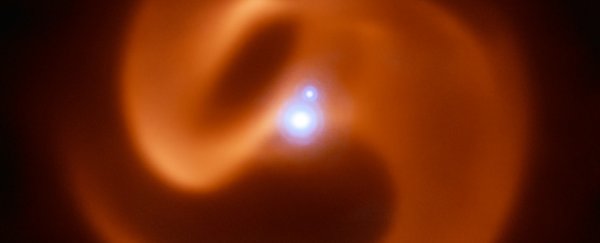 A jaw-dropping binary star is about to go supernova, and could produce a gamma-ray burst