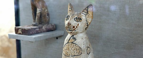 Dozens of cat mummies have been found in a 2,500-year-old Egyptian tomb