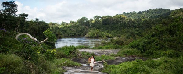 Just five countries hold 70% of the world's remaining wilderness