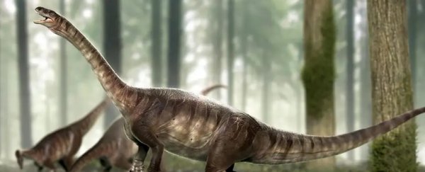 Archaeologists Have Unearthed rare Skeletons of dinosaurs' Ancestors