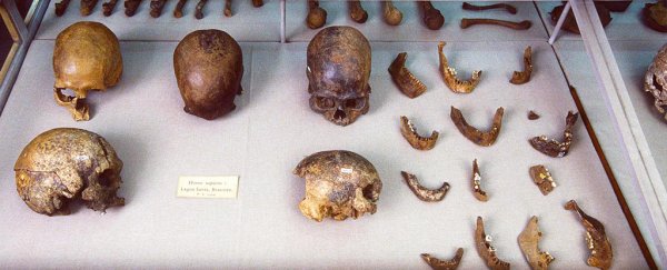 Ancient DNA has revealed surprising connections between the first people of the Americas