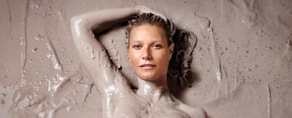 Netflix is reportedly in talks with Gwyneth Paltrow for a Goop show