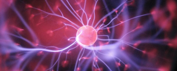 Consciousness might be a result of basic physics, say researchers