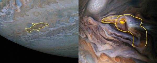 This Jupiter cloud kinda looks like a dolphin, so we found some more animals to keep it company