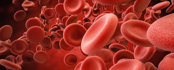 Scientists have found a surprising new source of blood cells in the human body