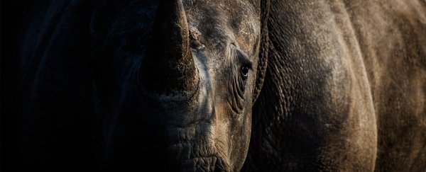 Humans have changed the course of evolution in ways we never predicted, scientist warns