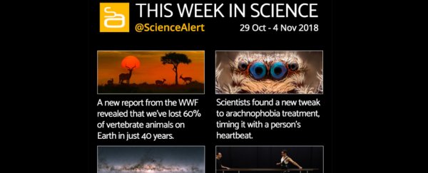 Infographic: here's what you need to know in science news this week