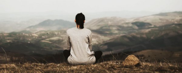 There's a strange explosion of certain meditative practices in America right now