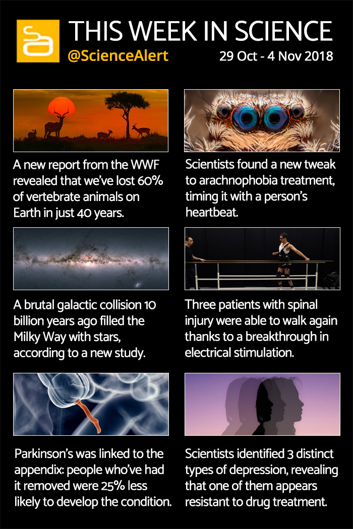 this week in science 29 oct 4 nov