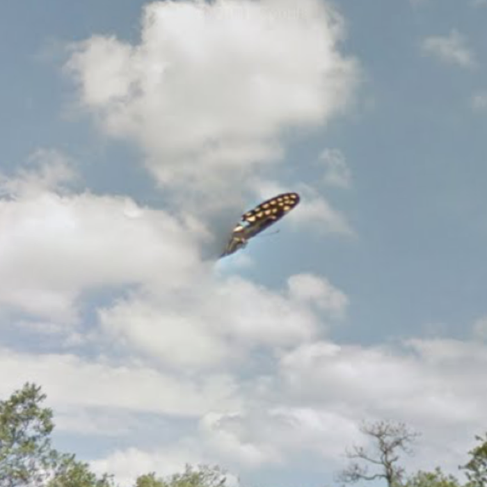 016 ufo google street view butterfly florida 3