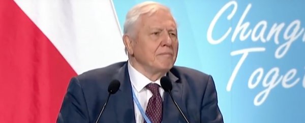 Sir David Attenborough warns civilisation is near collapse unless we act now