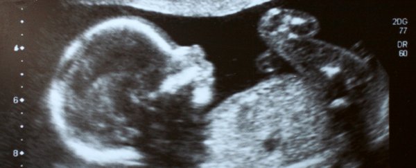 Babies kicking in the womb are mapping out their body and environment, says study