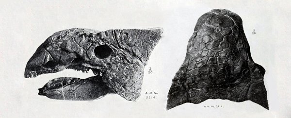 These dinosaurs had weird, twisting skull tunnels that literally kept them alive